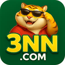3nn Logo